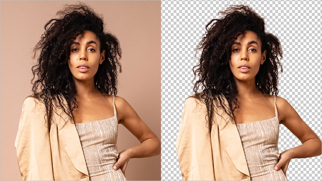 Advanced-bgsnip-Background-Removal