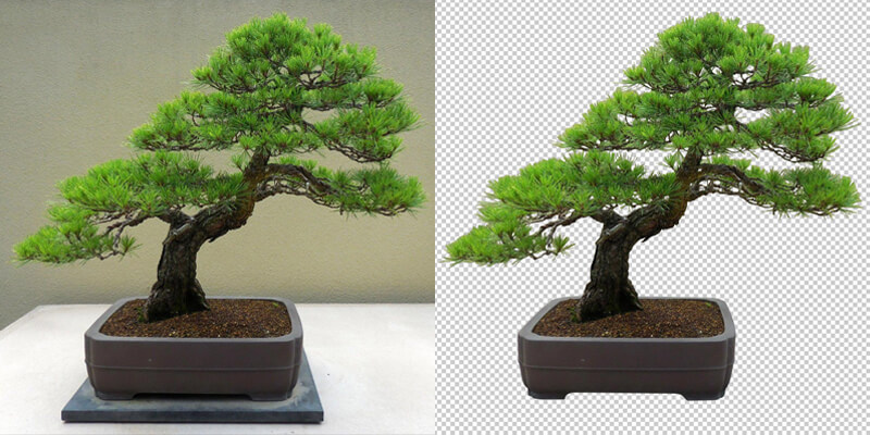 bgsnip background remover before after