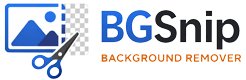 bgsnip